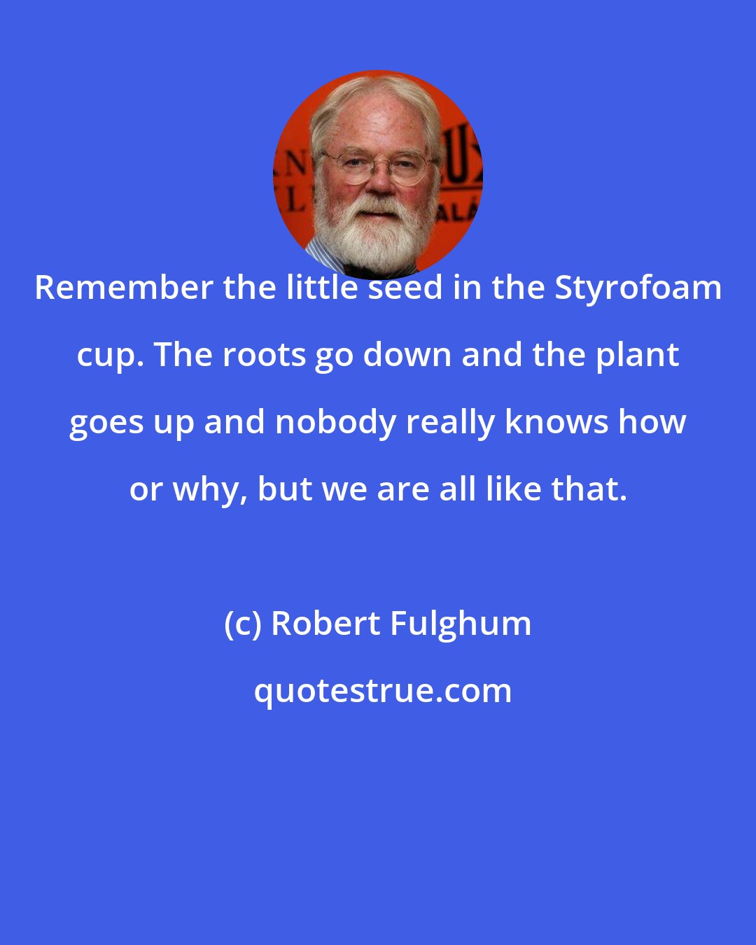 Robert Fulghum: Remember the little seed in the Styrofoam cup. The roots go down and the plant goes up and nobody really knows how or why, but we are all like that.