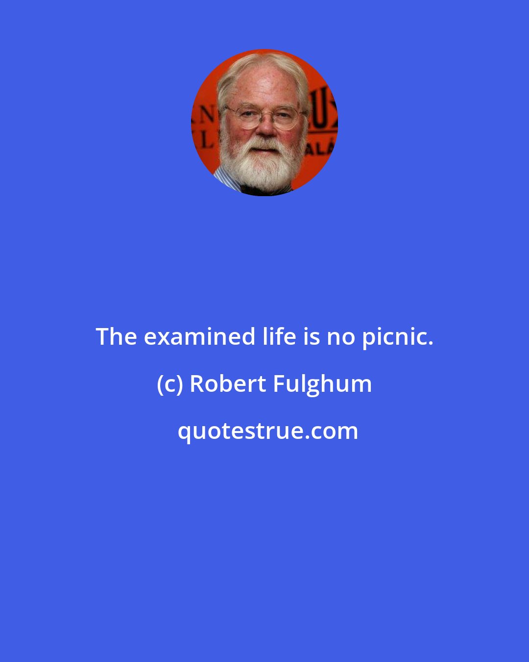 Robert Fulghum: The examined life is no picnic.