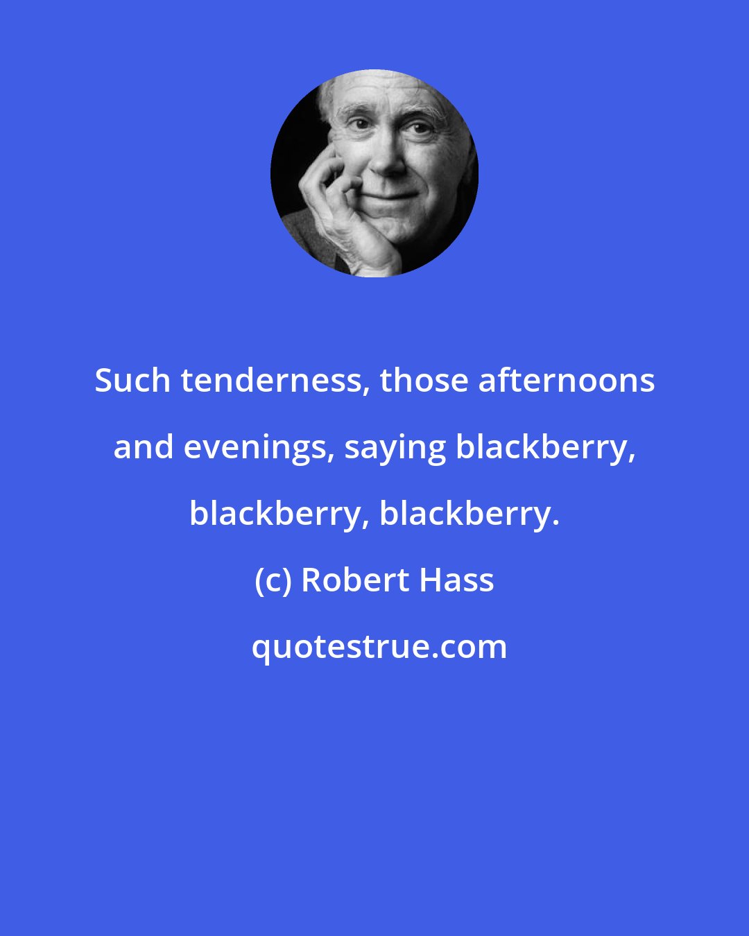Robert Hass: Such tenderness, those afternoons and evenings, saying blackberry, blackberry, blackberry.