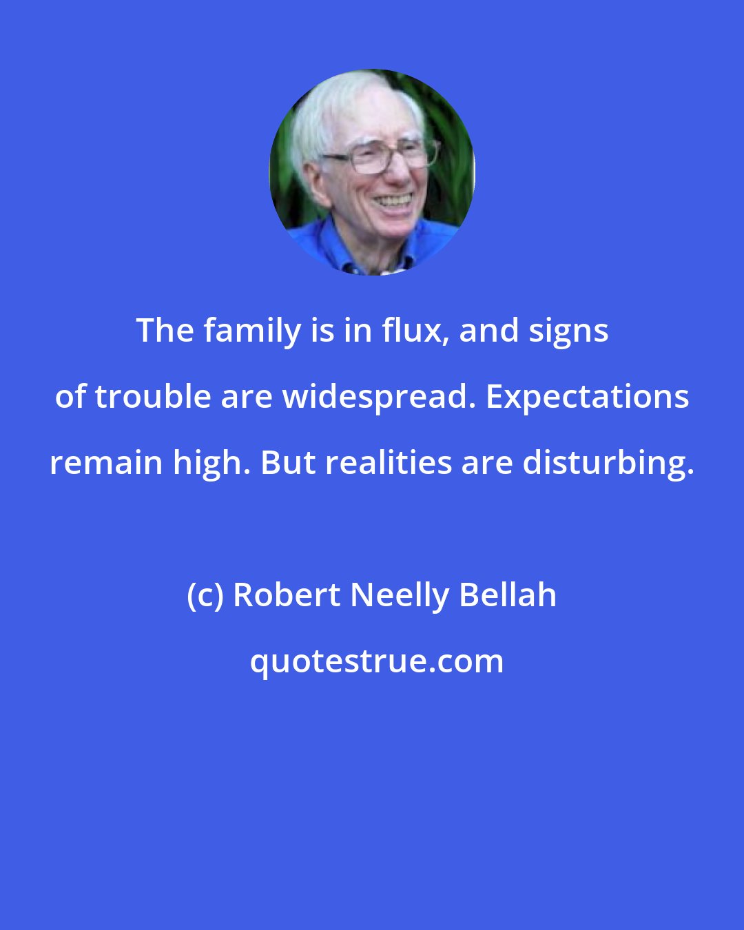 Robert Neelly Bellah: The family is in flux, and signs of trouble are widespread. Expectations remain high. But realities are disturbing.