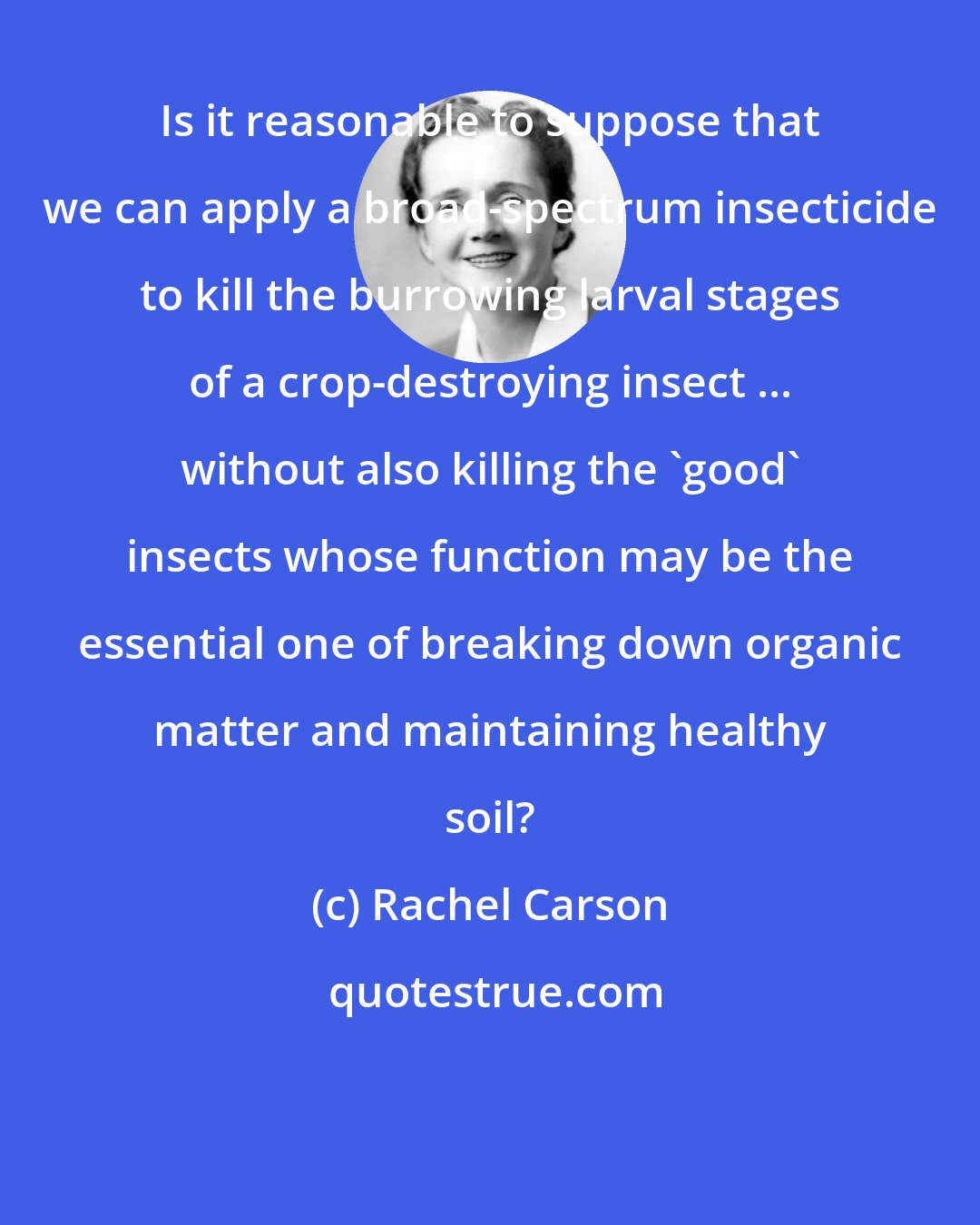 Rachel Carson: Is it reasonable to suppose that we can apply a broad-spectrum insecticide to kill the burrowing larval stages of a crop-destroying insect ... without also killing the 'good' insects whose function may be the essential one of breaking down organic matter and maintaining healthy soil?