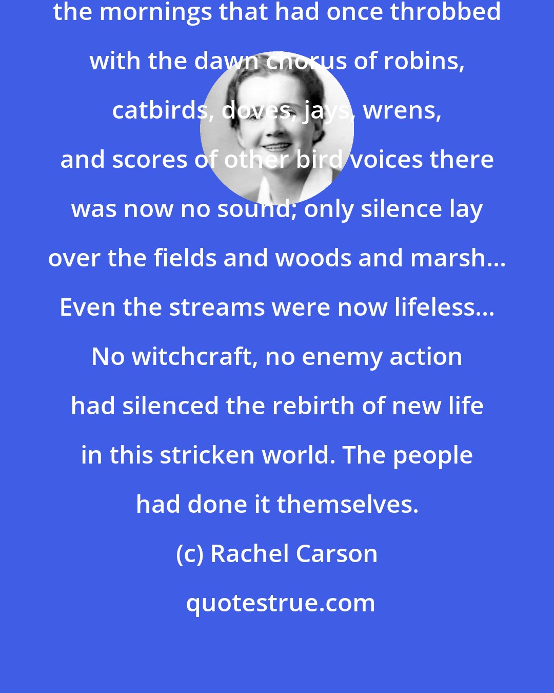 Rachel Carson: It was a spring without voices. On the mornings that had once throbbed with the dawn chorus of robins, catbirds, doves, jays, wrens, and scores of other bird voices there was now no sound; only silence lay over the fields and woods and marsh... Even the streams were now lifeless... No witchcraft, no enemy action had silenced the rebirth of new life in this stricken world. The people had done it themselves.