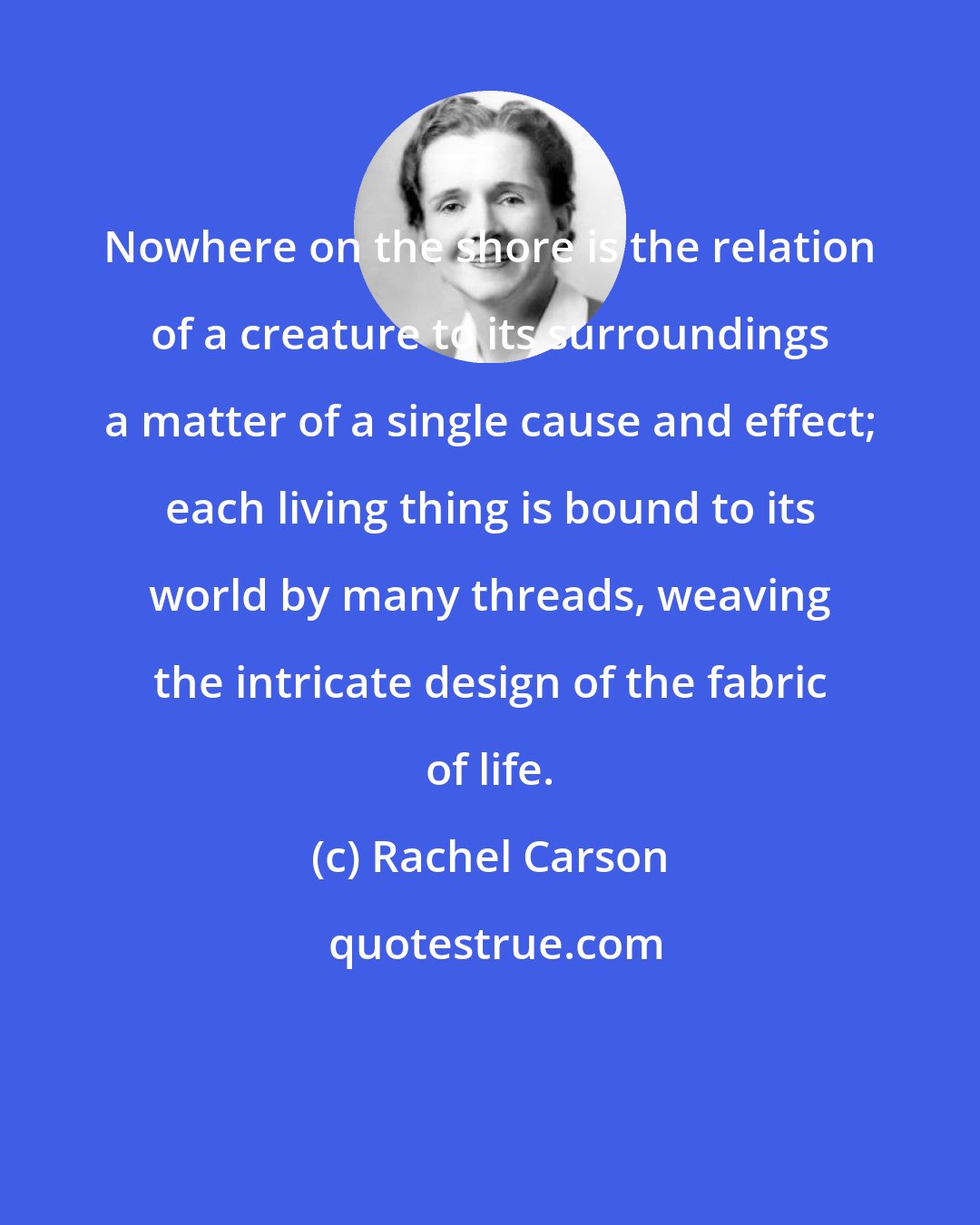 Rachel Carson: Nowhere on the shore is the relation of a creature to its surroundings a matter of a single cause and effect; each living thing is bound to its world by many threads, weaving the intricate design of the fabric of life.
