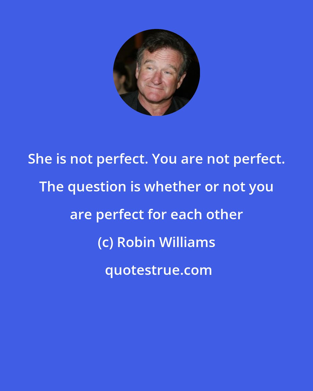 Robin Williams: She is not perfect. You are not perfect. The question is whether or not you are perfect for each other