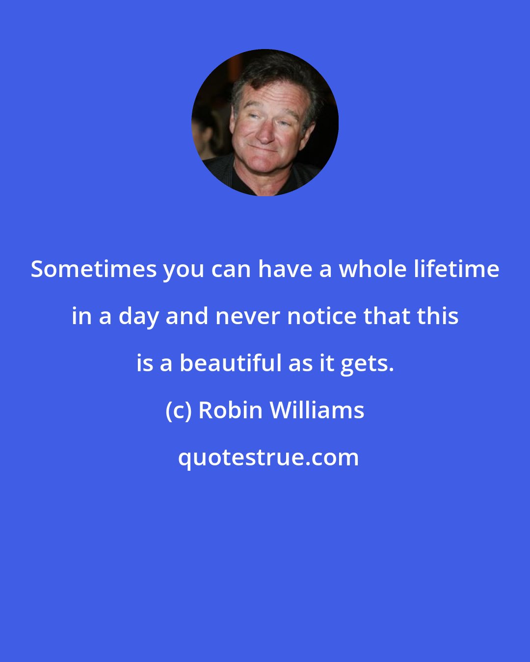 Robin Williams: Sometimes you can have a whole lifetime in a day and never notice that this is a beautiful as it gets.