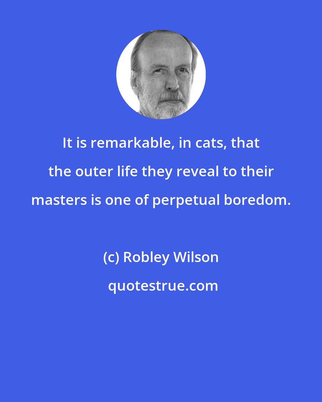 Robley Wilson: It is remarkable, in cats, that the outer life they reveal to their masters is one of perpetual boredom.