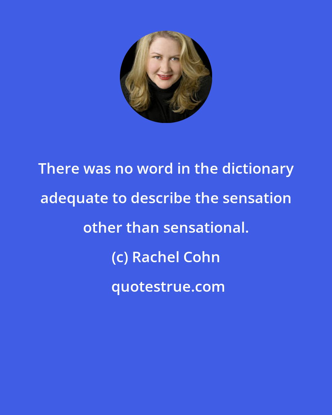 Rachel Cohn: There was no word in the dictionary adequate to describe the sensation other than sensational.
