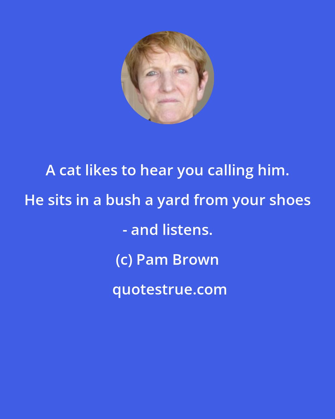 Pam Brown: A cat likes to hear you calling him. He sits in a bush a yard from your shoes - and listens.