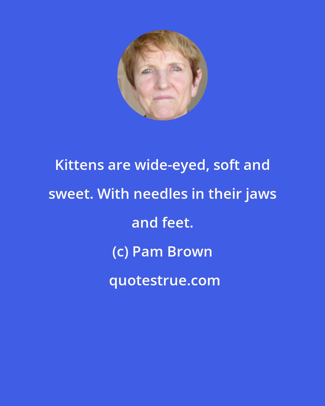 Pam Brown: Kittens are wide-eyed, soft and sweet. With needles in their jaws and feet.