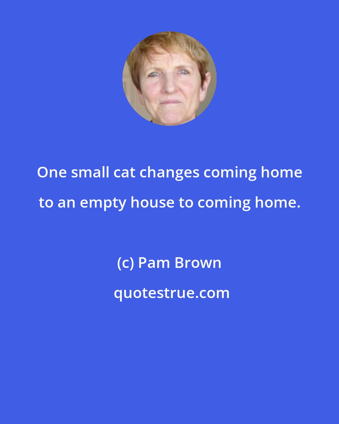 Pam Brown: One small cat changes coming home to an empty house to coming home.