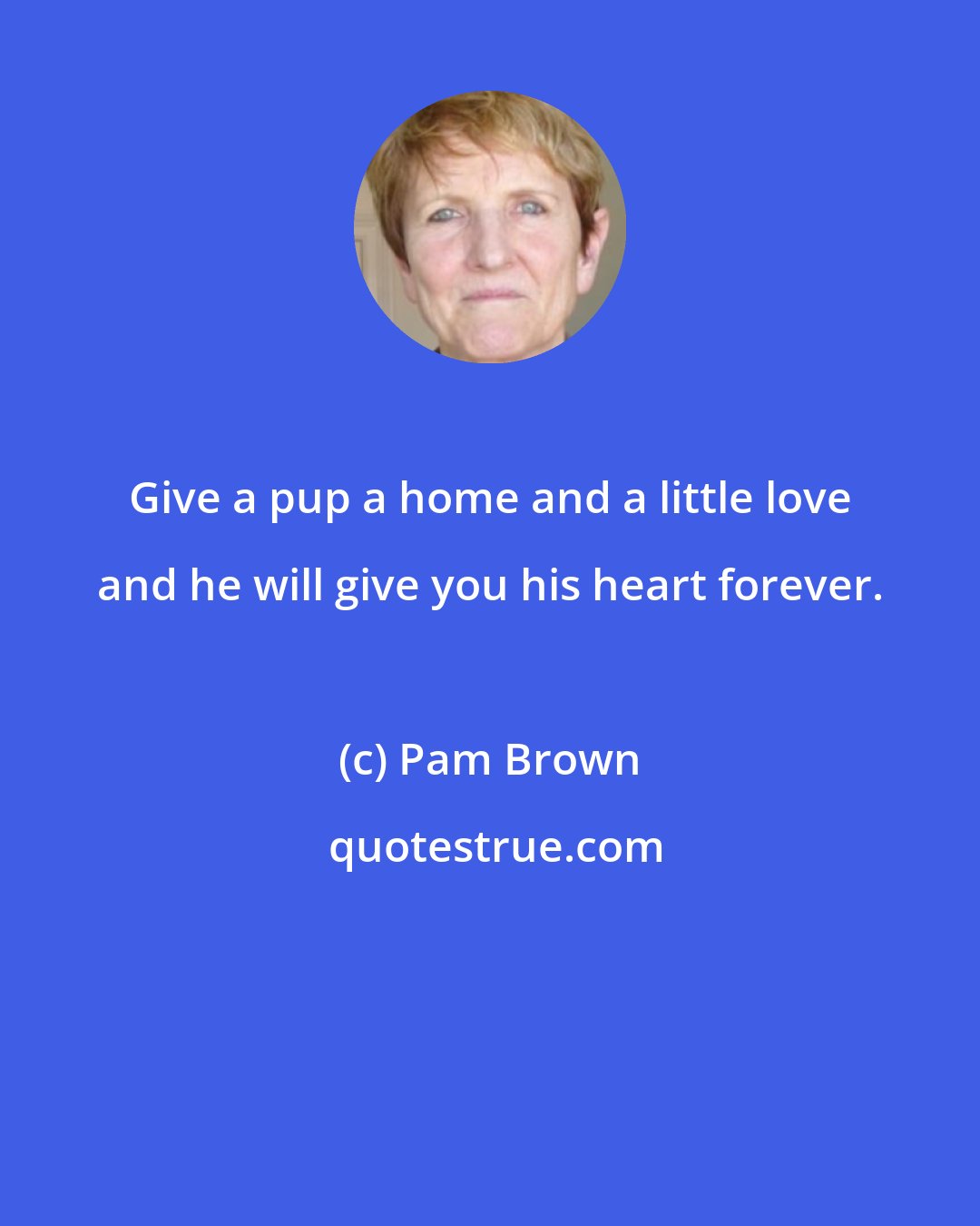 Pam Brown: Give a pup a home and a little love and he will give you his heart forever.