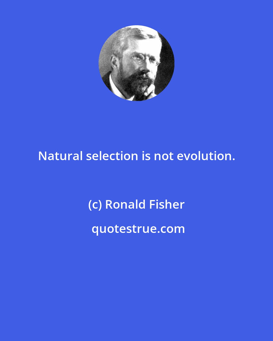 Ronald Fisher: Natural selection is not evolution.