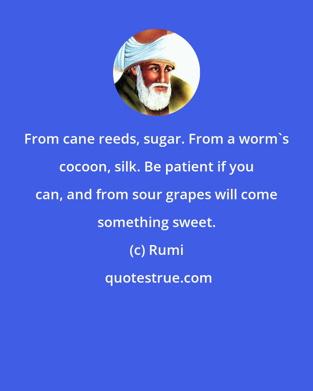 Rumi: From cane reeds, sugar. From a worm's cocoon, silk. Be patient if you can, and from sour grapes will come something sweet.