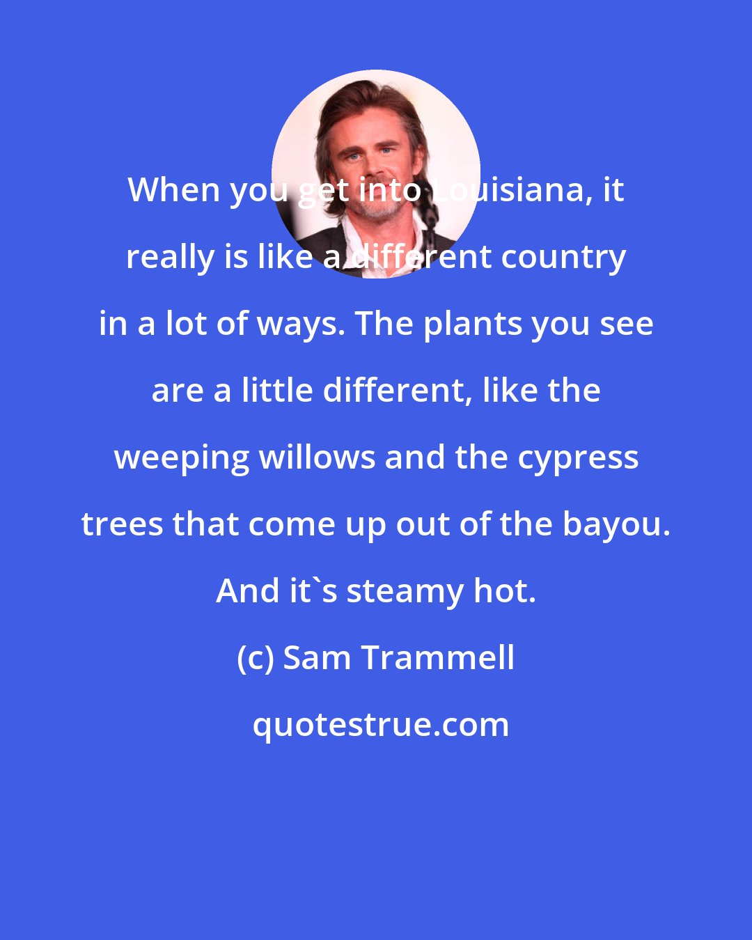 Sam Trammell: When you get into Louisiana, it really is like a different country in a lot of ways. The plants you see are a little different, like the weeping willows and the cypress trees that come up out of the bayou. And it's steamy hot.
