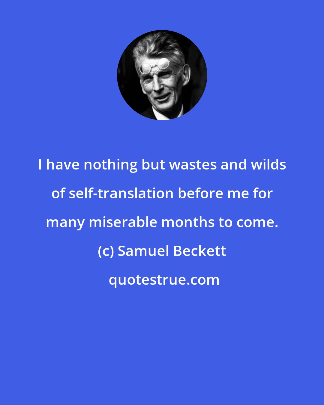 Samuel Beckett: I have nothing but wastes and wilds of self-translation before me for many miserable months to come.