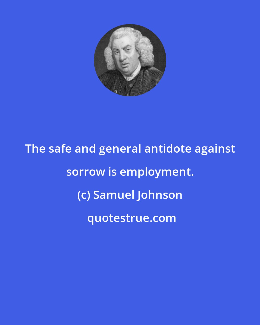 Samuel Johnson: The safe and general antidote against sorrow is employment.