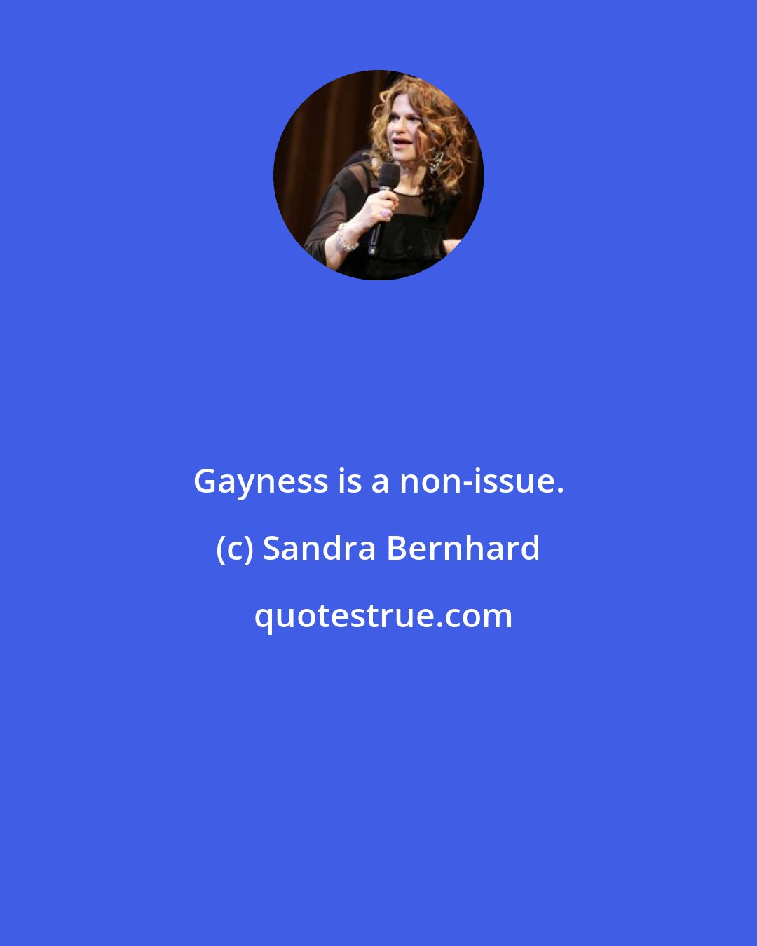 Sandra Bernhard: Gayness is a non-issue.