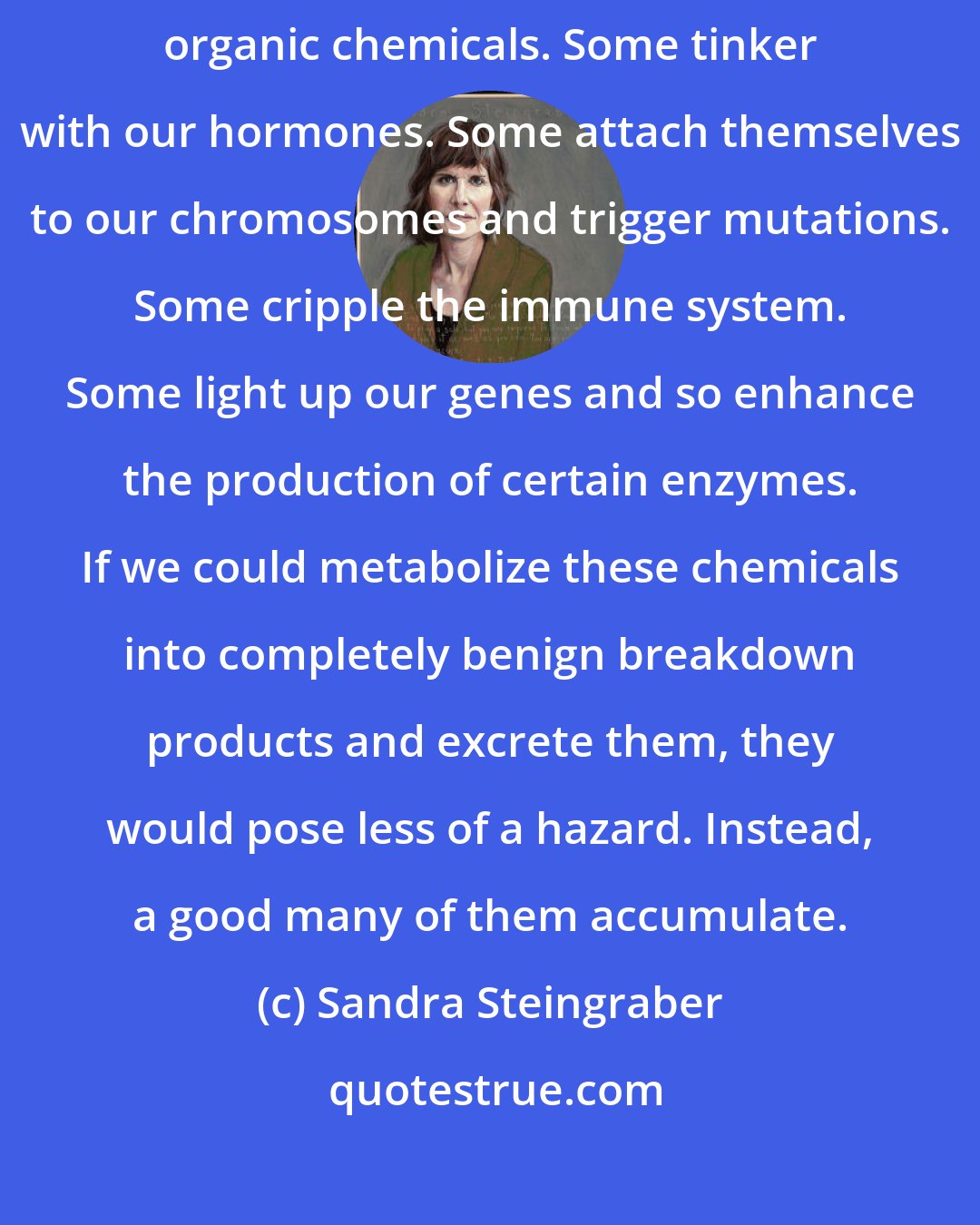 Sandra Steingraber: ... we find ourselves facing a rising tide of biologically active, synthetic organic chemicals. Some tinker with our hormones. Some attach themselves to our chromosomes and trigger mutations. Some cripple the immune system. Some light up our genes and so enhance the production of certain enzymes. If we could metabolize these chemicals into completely benign breakdown products and excrete them, they would pose less of a hazard. Instead, a good many of them accumulate.