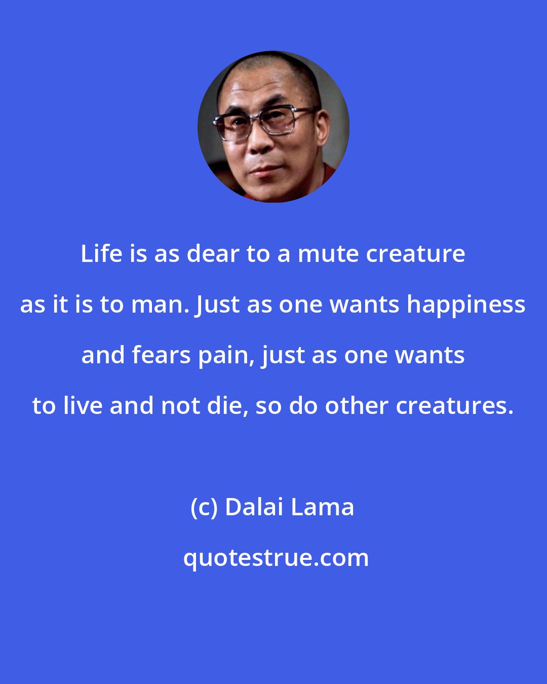 Dalai Lama: Life is as dear to a mute creature as it is to man. Just as one wants happiness and fears pain, just as one wants to live and not die, so do other creatures.