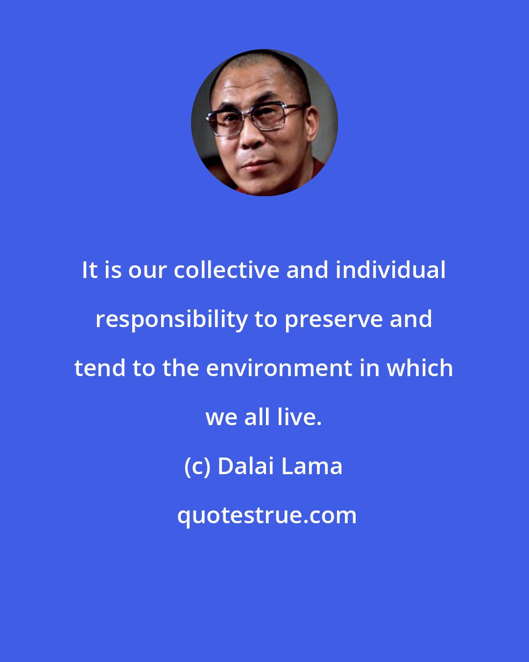 Dalai Lama: It is our collective and individual responsibility to preserve and tend to the environment in which we all live.