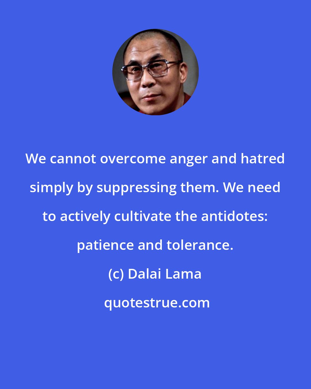 Dalai Lama: We cannot overcome anger and hatred simply by suppressing them. We need to actively cultivate the antidotes: patience and tolerance.