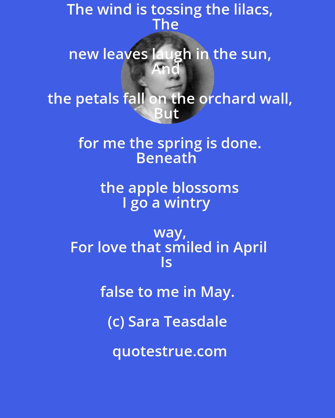 Sara Teasdale: The wind is tossing the lilacs,
The new leaves laugh in the sun,
And the petals fall on the orchard wall,
But for me the spring is done.
Beneath the apple blossoms
I go a wintry way,
For love that smiled in April
Is false to me in May.