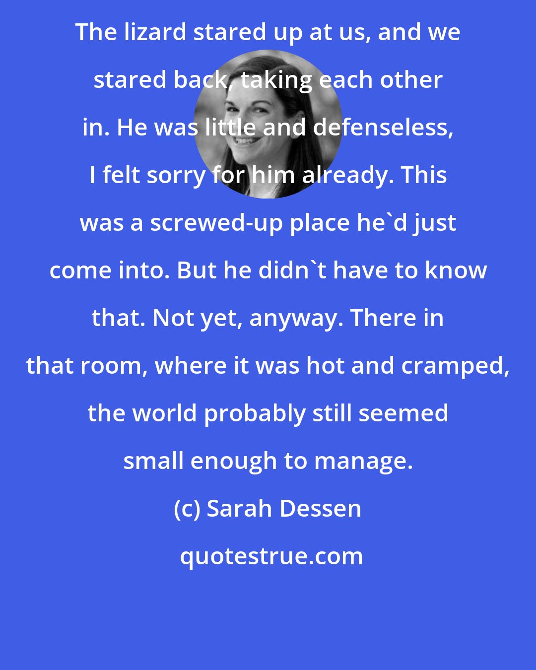 Sarah Dessen: The lizard stared up at us, and we stared back, taking each other in. He was little and defenseless, I felt sorry for him already. This was a screwed-up place he'd just come into. But he didn't have to know that. Not yet, anyway. There in that room, where it was hot and cramped, the world probably still seemed small enough to manage.