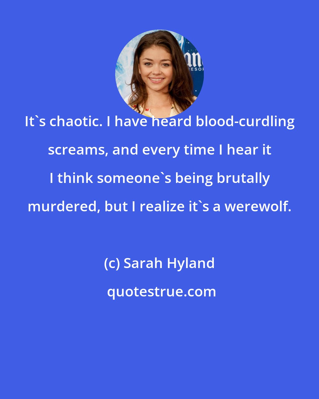 Sarah Hyland: It's chaotic. I have heard blood-curdling screams, and every time I hear it I think someone's being brutally murdered, but I realize it's a werewolf.