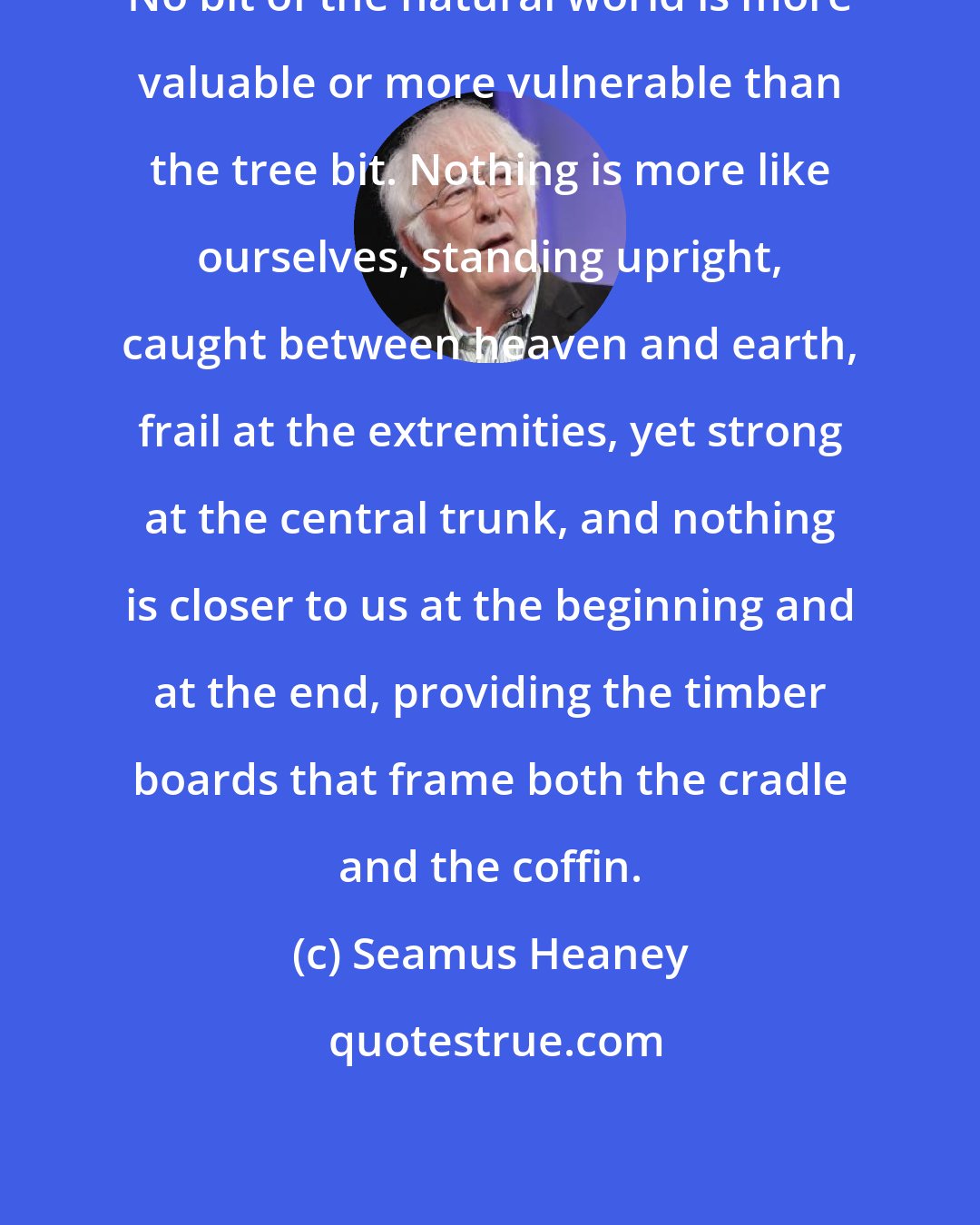 Seamus Heaney: No bit of the natural world is more valuable or more vulnerable than the tree bit. Nothing is more like ourselves, standing upright, caught between heaven and earth, frail at the extremities, yet strong at the central trunk, and nothing is closer to us at the beginning and at the end, providing the timber boards that frame both the cradle and the coffin.