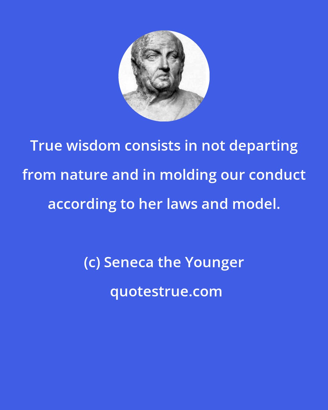 Seneca the Younger: True wisdom consists in not departing from nature and in molding our conduct according to her laws and model.