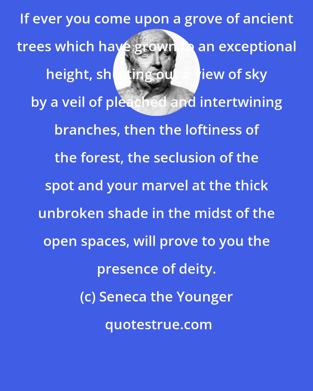 Seneca the Younger: If ever you come upon a grove of ancient trees which have grown to an exceptional height, shutting out a view of sky by a veil of pleached and intertwining branches, then the loftiness of the forest, the seclusion of the spot and your marvel at the thick unbroken shade in the midst of the open spaces, will prove to you the presence of deity.