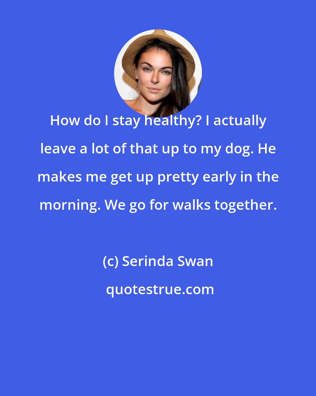 Serinda Swan: How do I stay healthy? I actually leave a lot of that up to my dog. He makes me get up pretty early in the morning. We go for walks together.