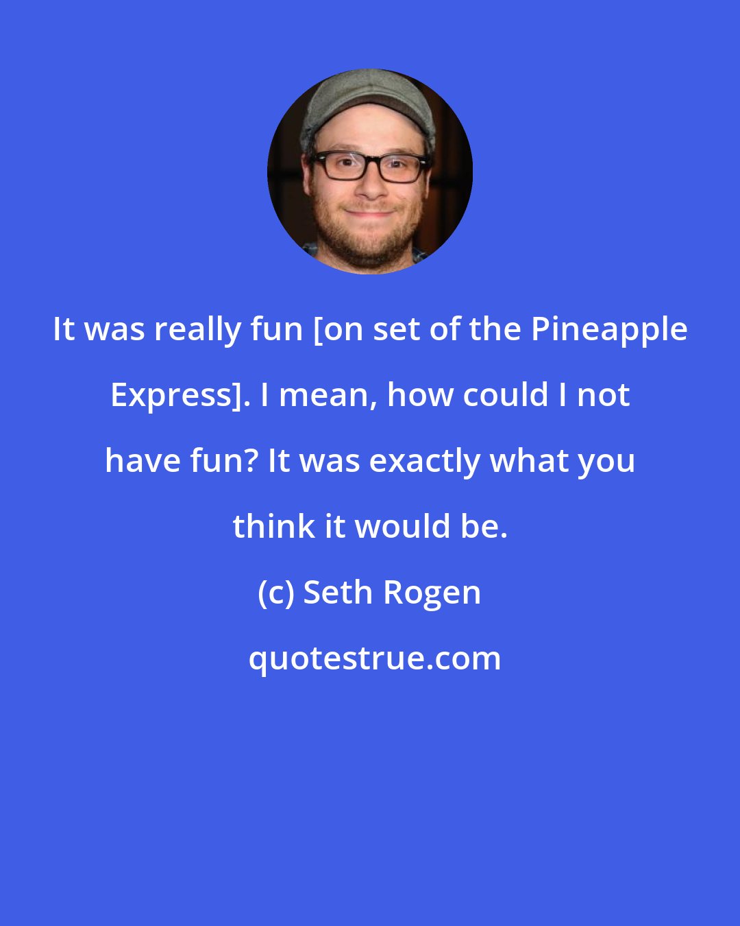 Seth Rogen: It was really fun [on set of the Pineapple Express]. I mean, how could I not have fun? It was exactly what you think it would be.