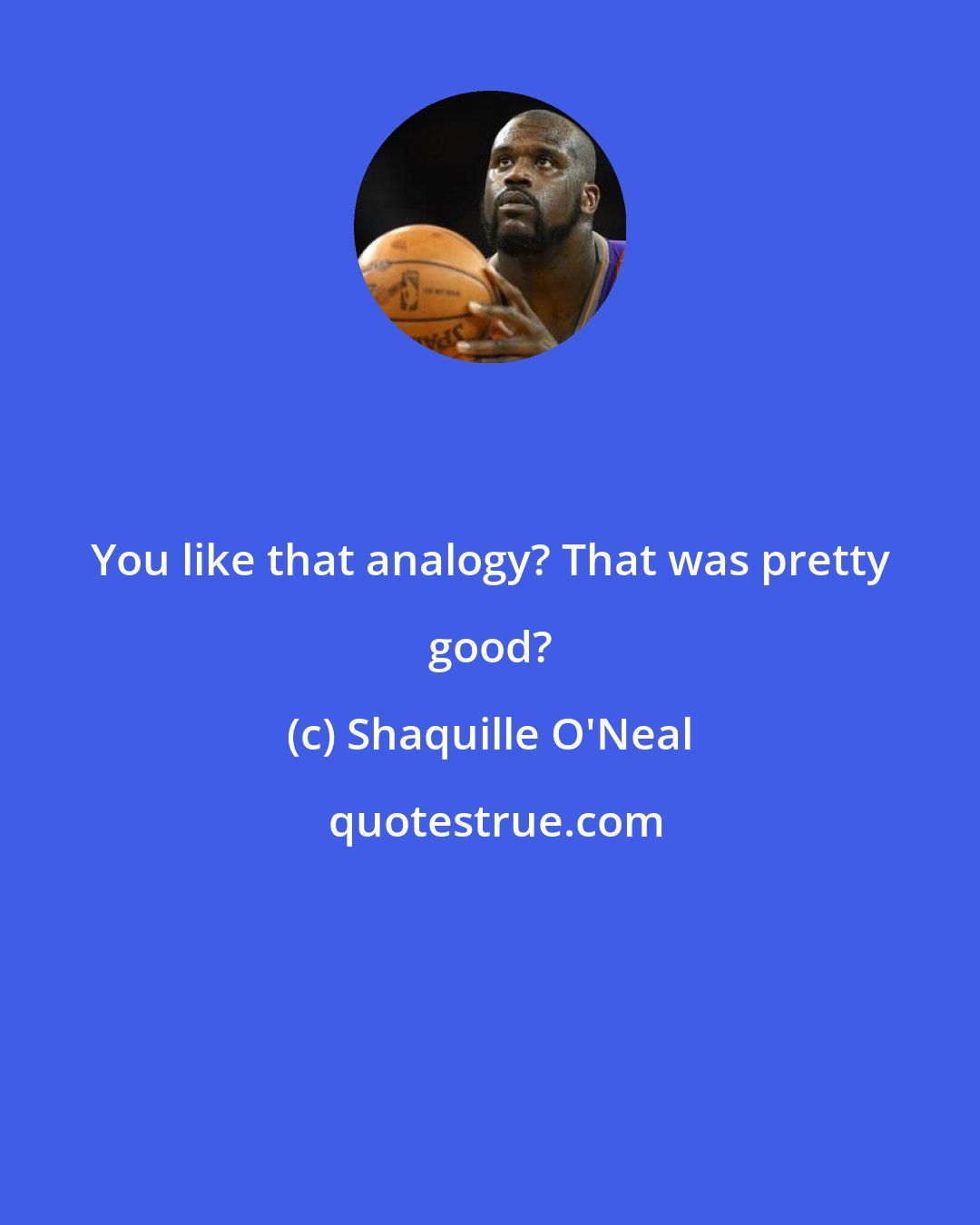 Shaquille O'Neal: You like that analogy? That was pretty good?