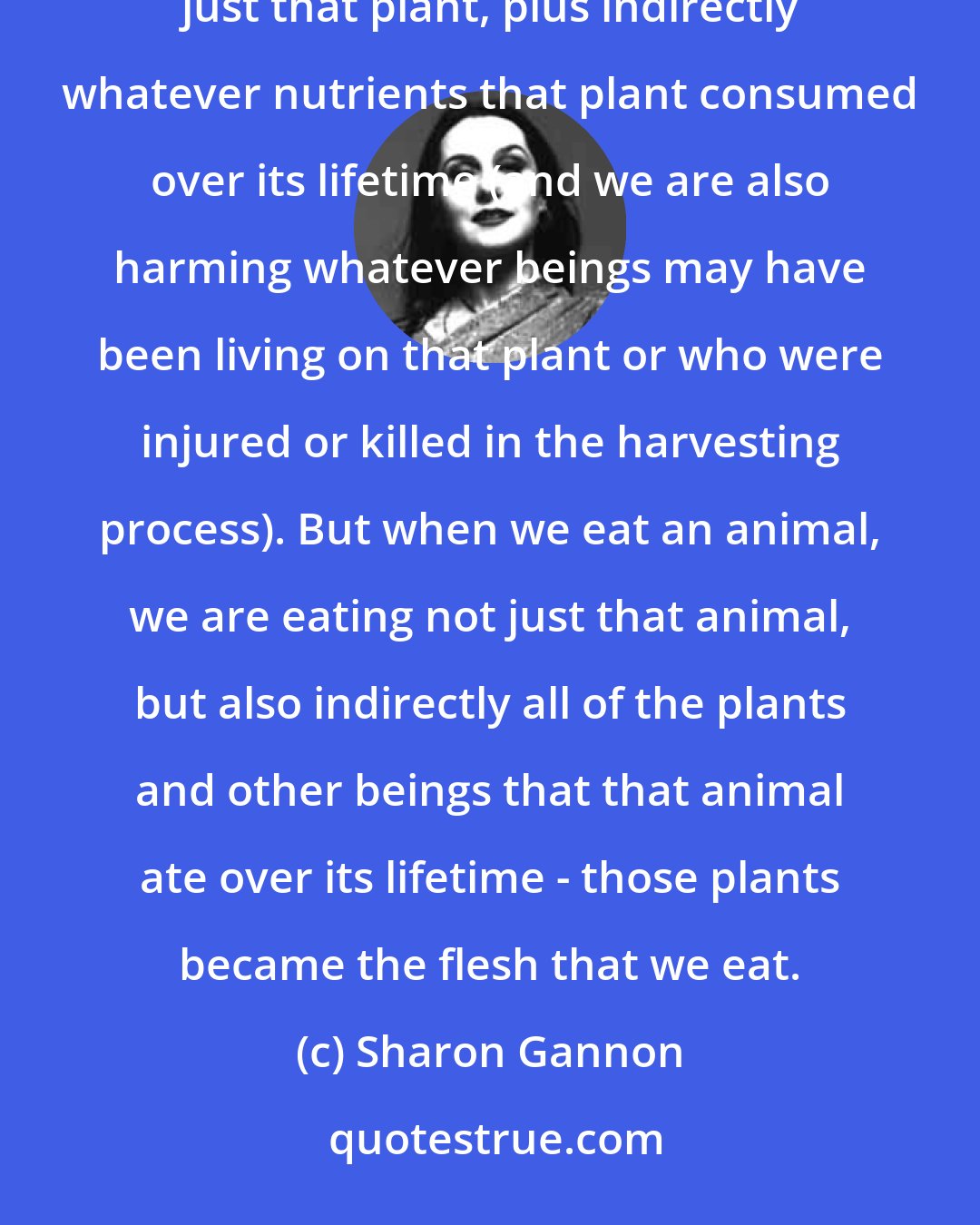 Sharon Gannon: As humans, we do get to choose what we eat, and when we choose to eat a plant, we are eating (i.e., harming) just that plant, plus indirectly whatever nutrients that plant consumed over its lifetime (and we are also harming whatever beings may have been living on that plant or who were injured or killed in the harvesting process). But when we eat an animal, we are eating not just that animal, but also indirectly all of the plants and other beings that that animal ate over its lifetime - those plants became the flesh that we eat.
