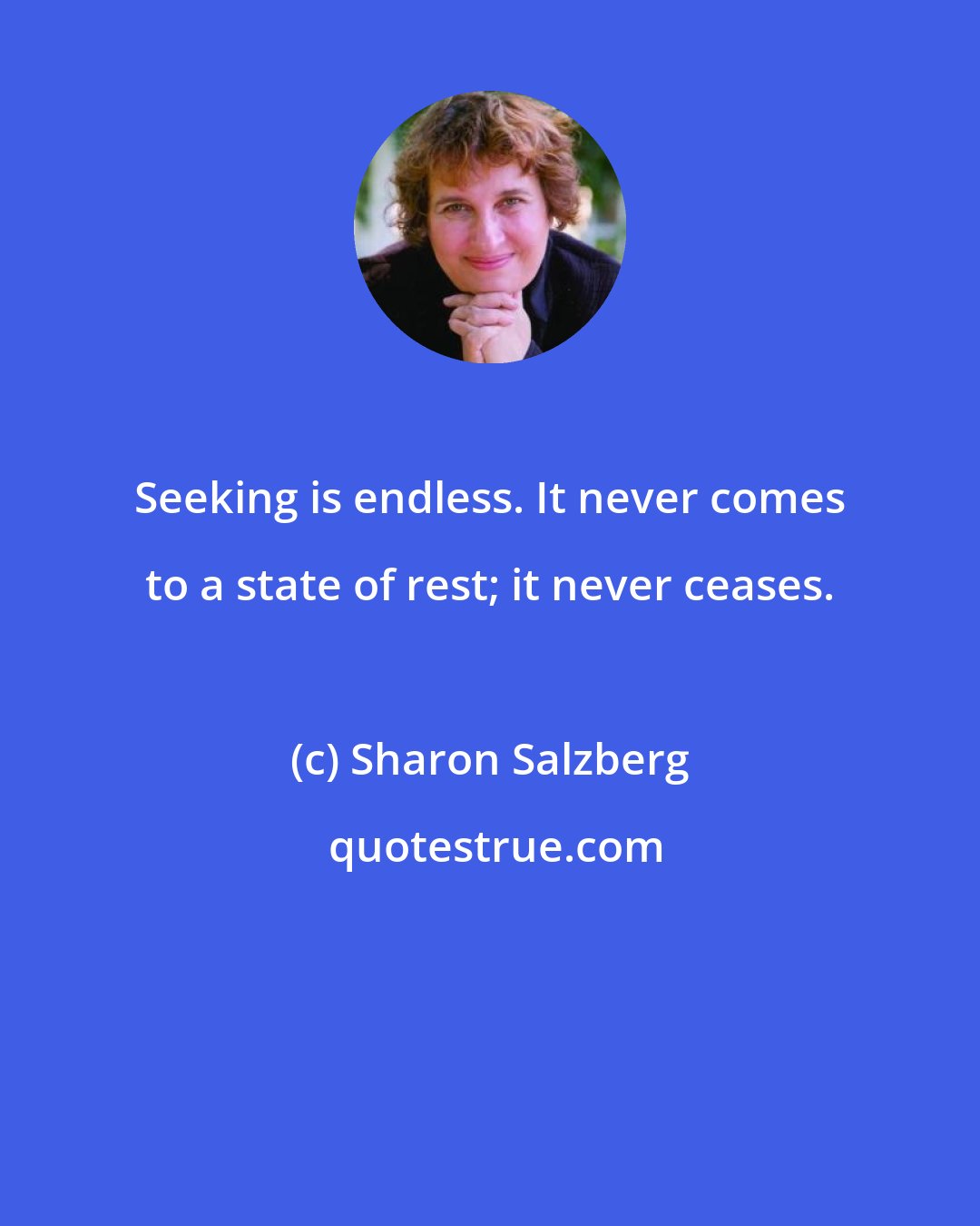 Sharon Salzberg: Seeking is endless. It never comes to a state of rest; it never ceases.