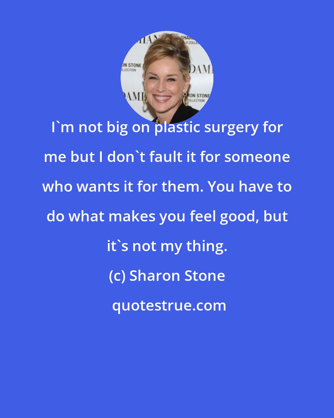 Sharon Stone: I'm not big on plastic surgery for me but I don't fault it for someone who wants it for them. You have to do what makes you feel good, but it's not my thing.