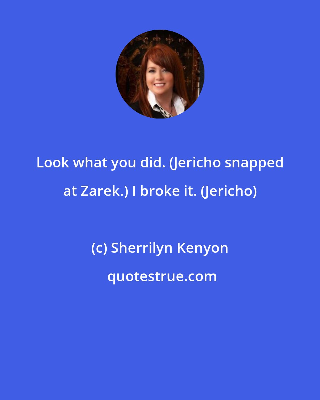 Sherrilyn Kenyon: Look what you did. (Jericho snapped at Zarek.) I broke it. (Jericho)