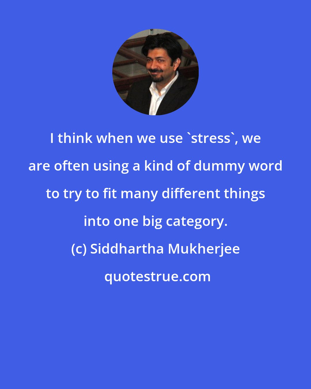 Siddhartha Mukherjee: I think when we use 'stress', we are often using a kind of dummy word to try to fit many different things into one big category.