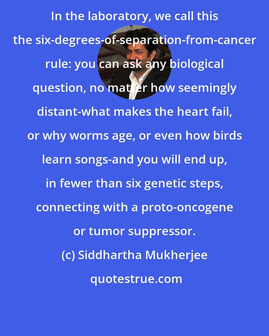 Siddhartha Mukherjee: In the laboratory, we call this the six-degrees-of-separation-from-cancer rule: you can ask any biological question, no matter how seemingly distant-what makes the heart fail, or why worms age, or even how birds learn songs-and you will end up, in fewer than six genetic steps, connecting with a proto-oncogene or tumor suppressor.