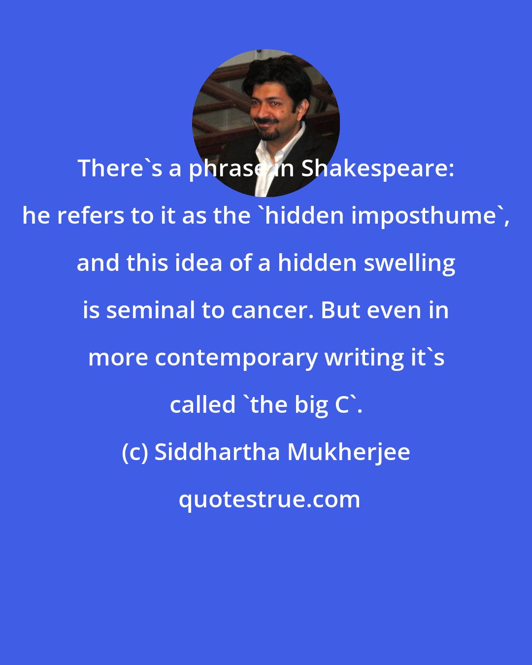 Siddhartha Mukherjee: There's a phrase in Shakespeare: he refers to it as the 'hidden imposthume', and this idea of a hidden swelling is seminal to cancer. But even in more contemporary writing it's called 'the big C'.