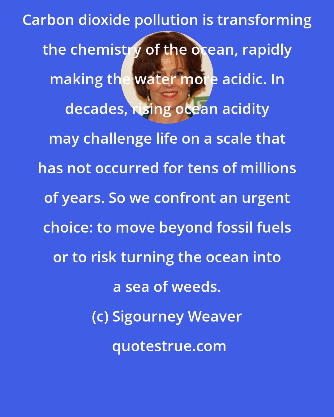 Sigourney Weaver: Carbon dioxide pollution is transforming the chemistry of the ocean, rapidly making the water more acidic. In decades, rising ocean acidity may challenge life on a scale that has not occurred for tens of millions of years. So we confront an urgent choice: to move beyond fossil fuels or to risk turning the ocean into a sea of weeds.