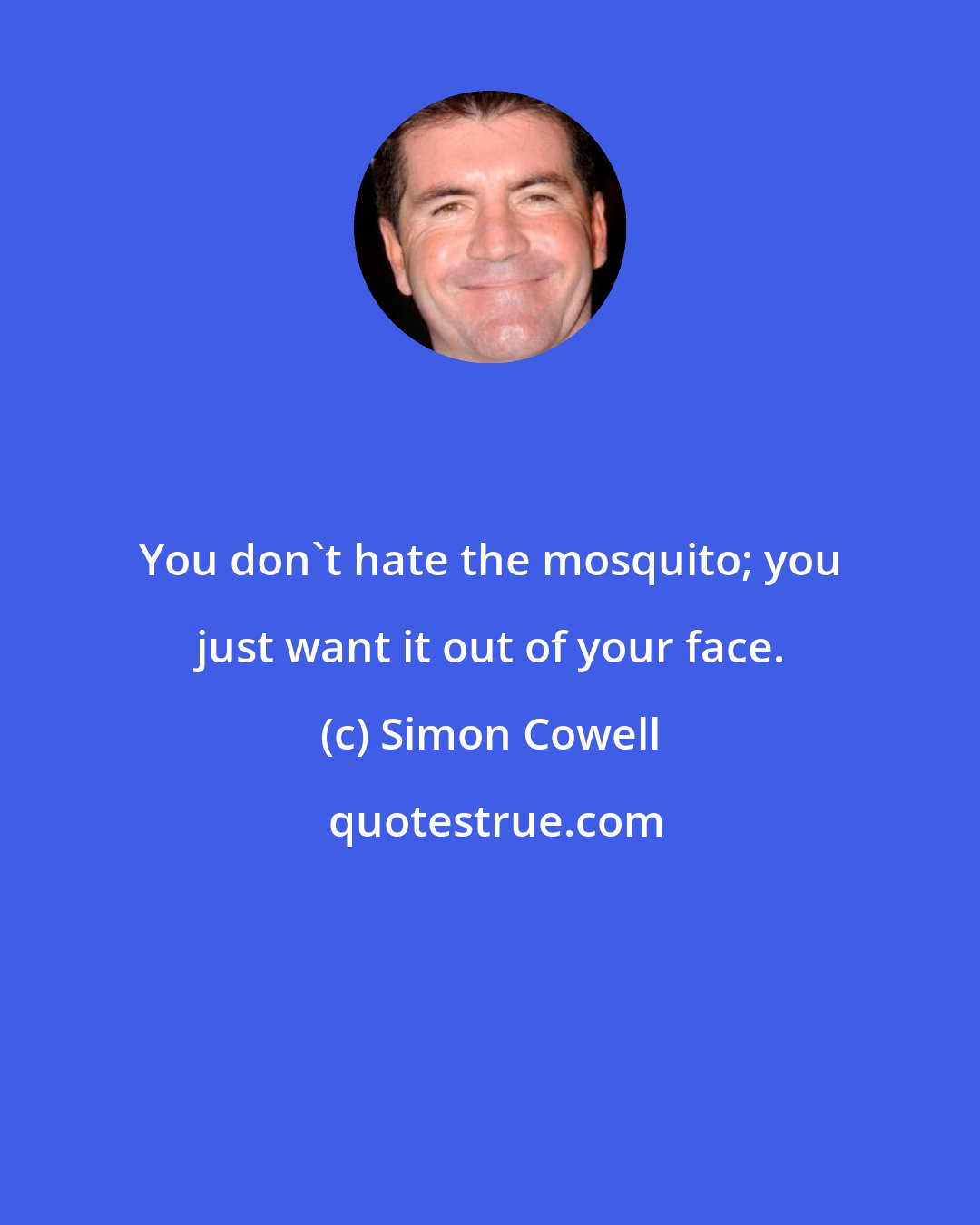 Simon Cowell: You don't hate the mosquito; you just want it out of your face.