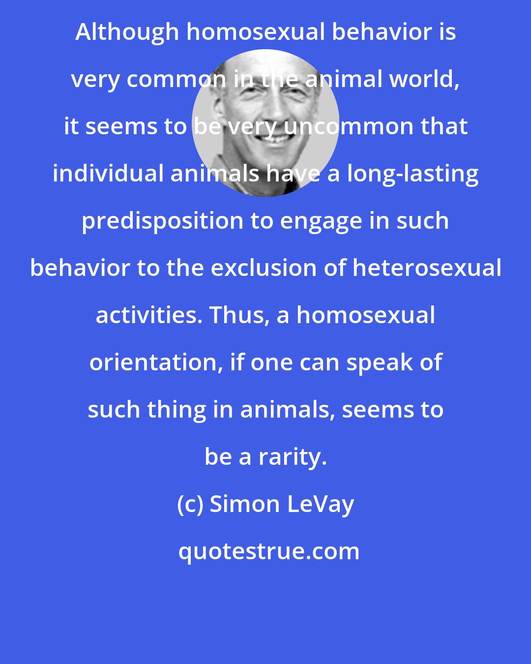 Simon LeVay: Although homosexual behavior is very common in the animal world, it seems to be very uncommon that individual animals have a long-lasting predisposition to engage in such behavior to the exclusion of heterosexual activities. Thus, a homosexual orientation, if one can speak of such thing in animals, seems to be a rarity.