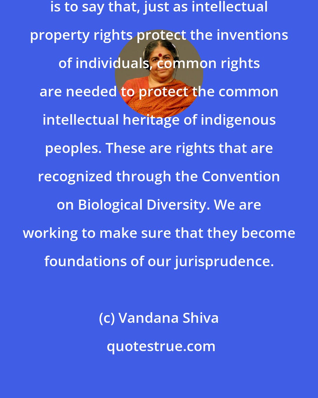 Vandana Shiva: One of the movements we have developed is to say that, just as intellectual property rights protect the inventions of individuals, common rights are needed to protect the common intellectual heritage of indigenous peoples. These are rights that are recognized through the Convention on Biological Diversity. We are working to make sure that they become foundations of our jurisprudence.