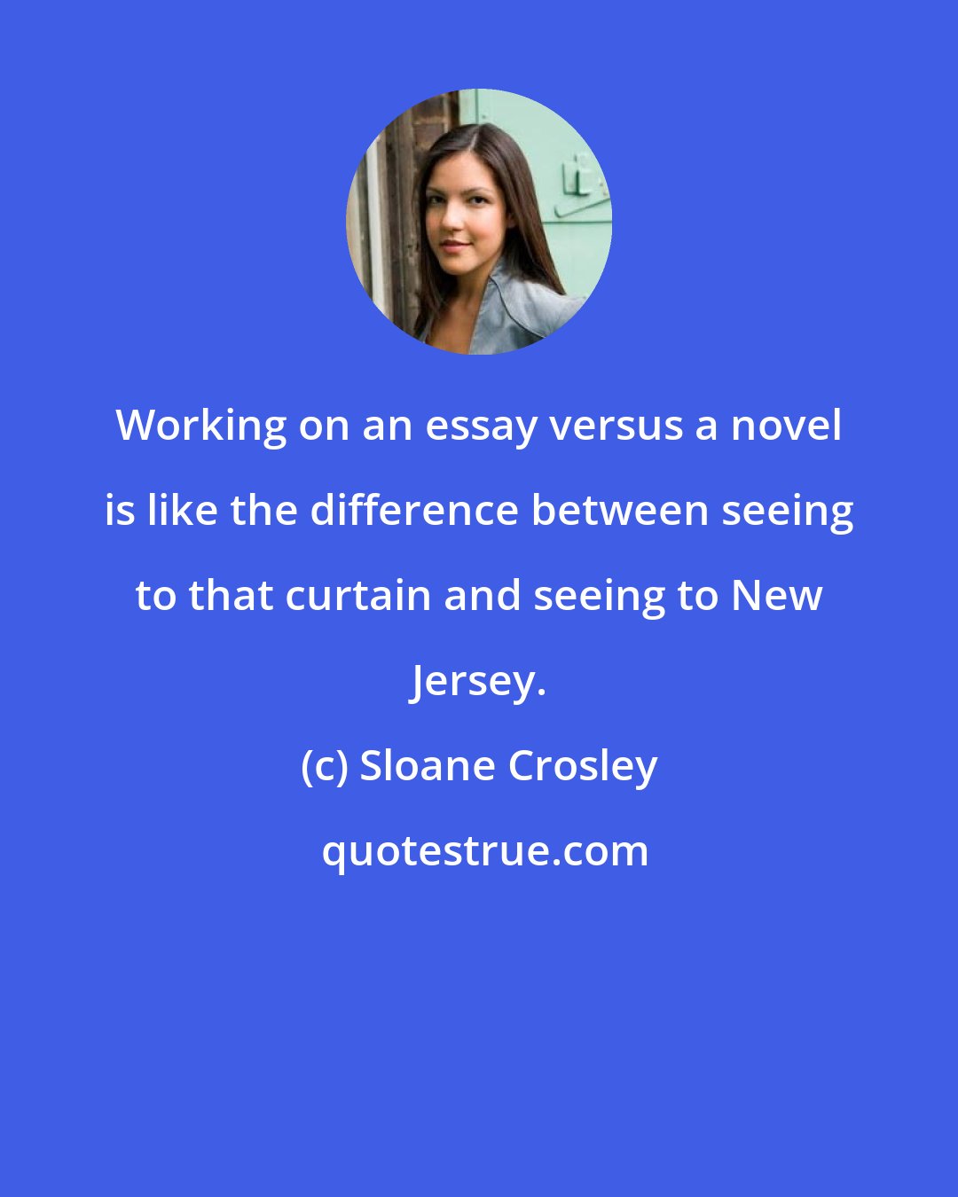 Sloane Crosley: Working on an essay versus a novel is like the difference between seeing to that curtain and seeing to New Jersey.