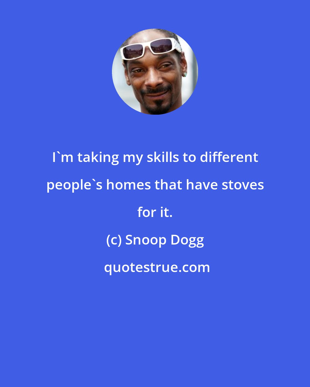 Snoop Dogg: I'm taking my skills to different people's homes that have stoves for it.