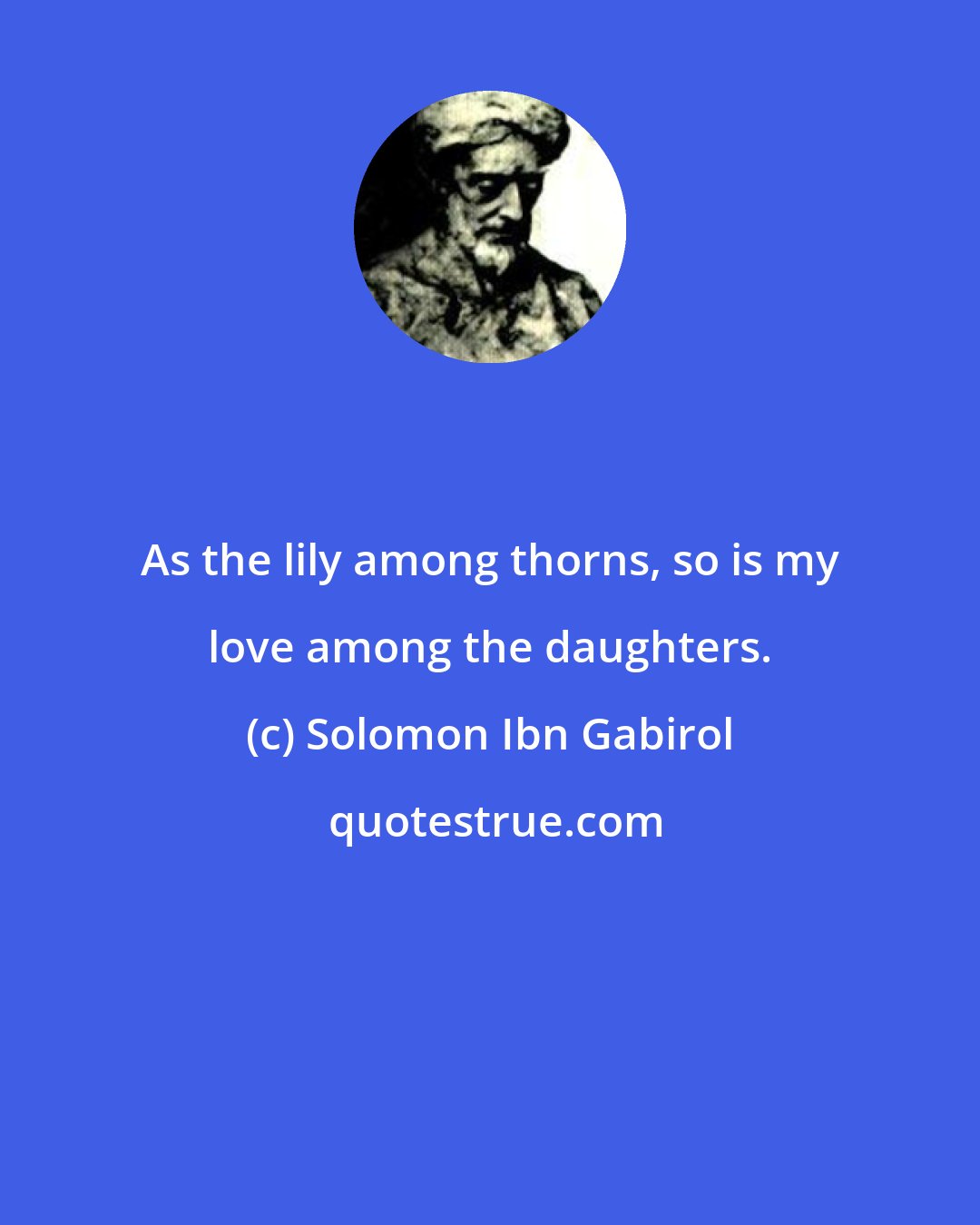 Solomon Ibn Gabirol: As the lily among thorns, so is my love among the daughters.