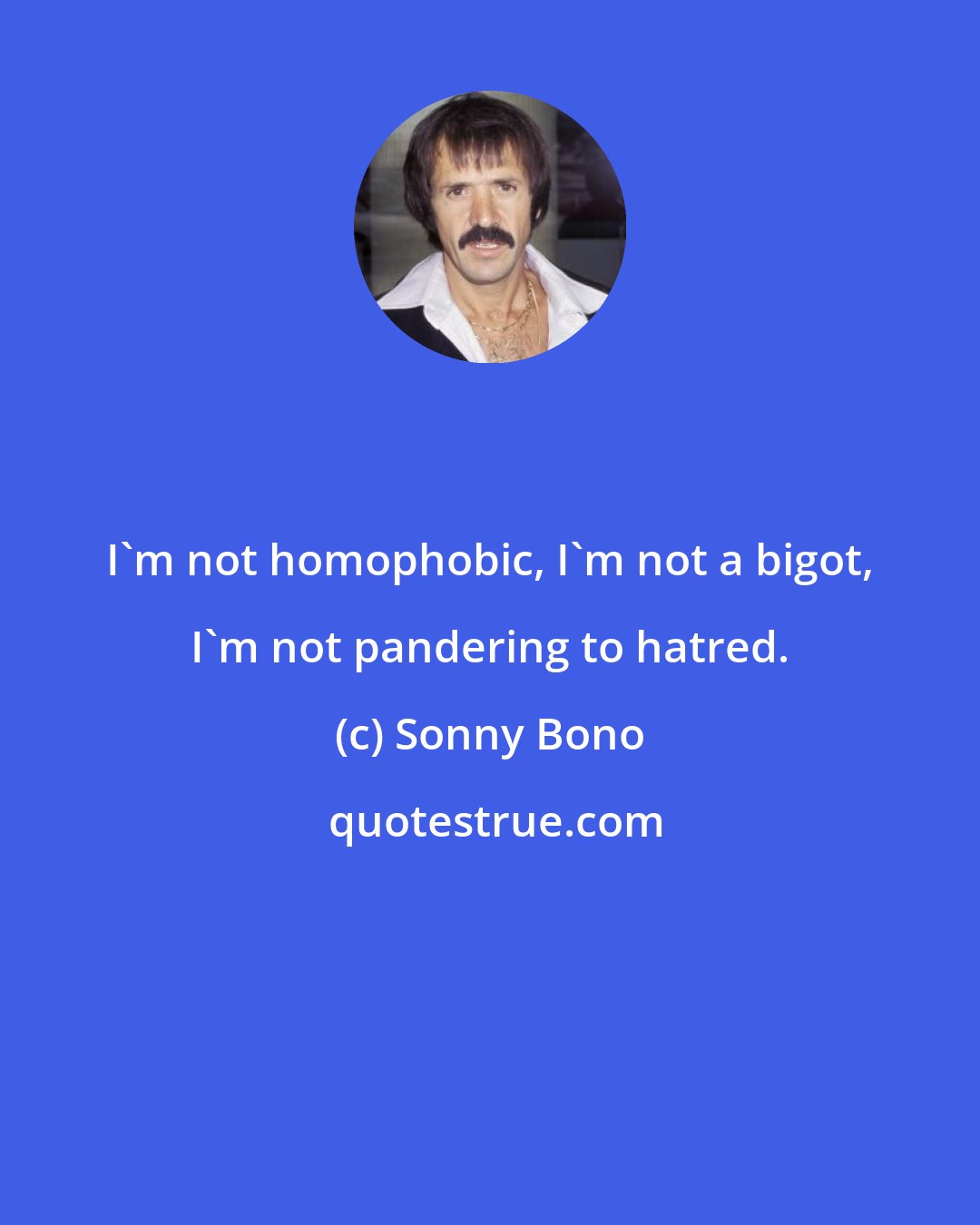 Sonny Bono: I'm not homophobic, I'm not a bigot, I'm not pandering to hatred.