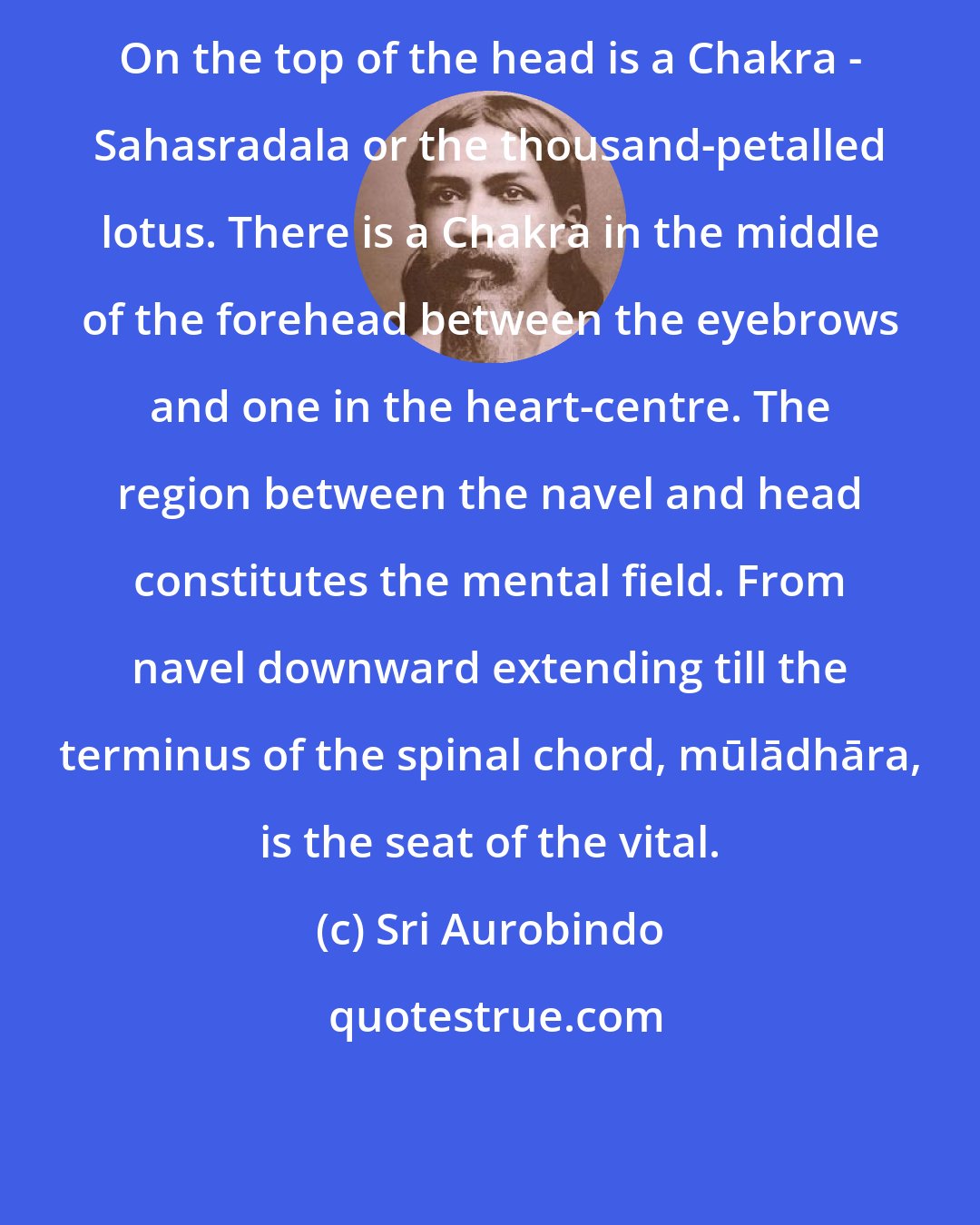 Sri Aurobindo: On the top of the head is a Chakra - Sahasradala or the thousand-petalled lotus. There is a Chakra in the middle of the forehead between the eyebrows and one in the heart-centre. The region between the navel and head constitutes the mental field. From navel downward extending till the terminus of the spinal chord, mūlādhāra, is the seat of the vital.